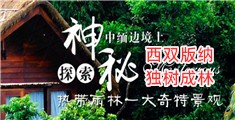 在线色B
