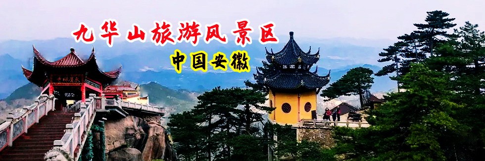 阴茎插入阴道试频